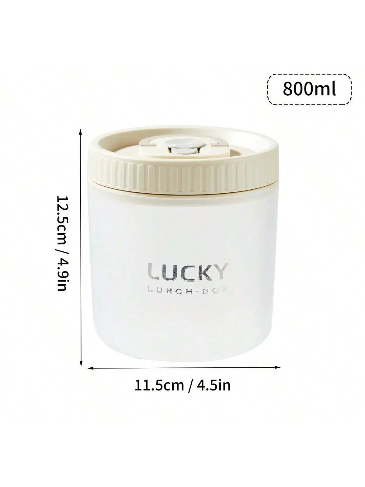 Transparent Lunch Box