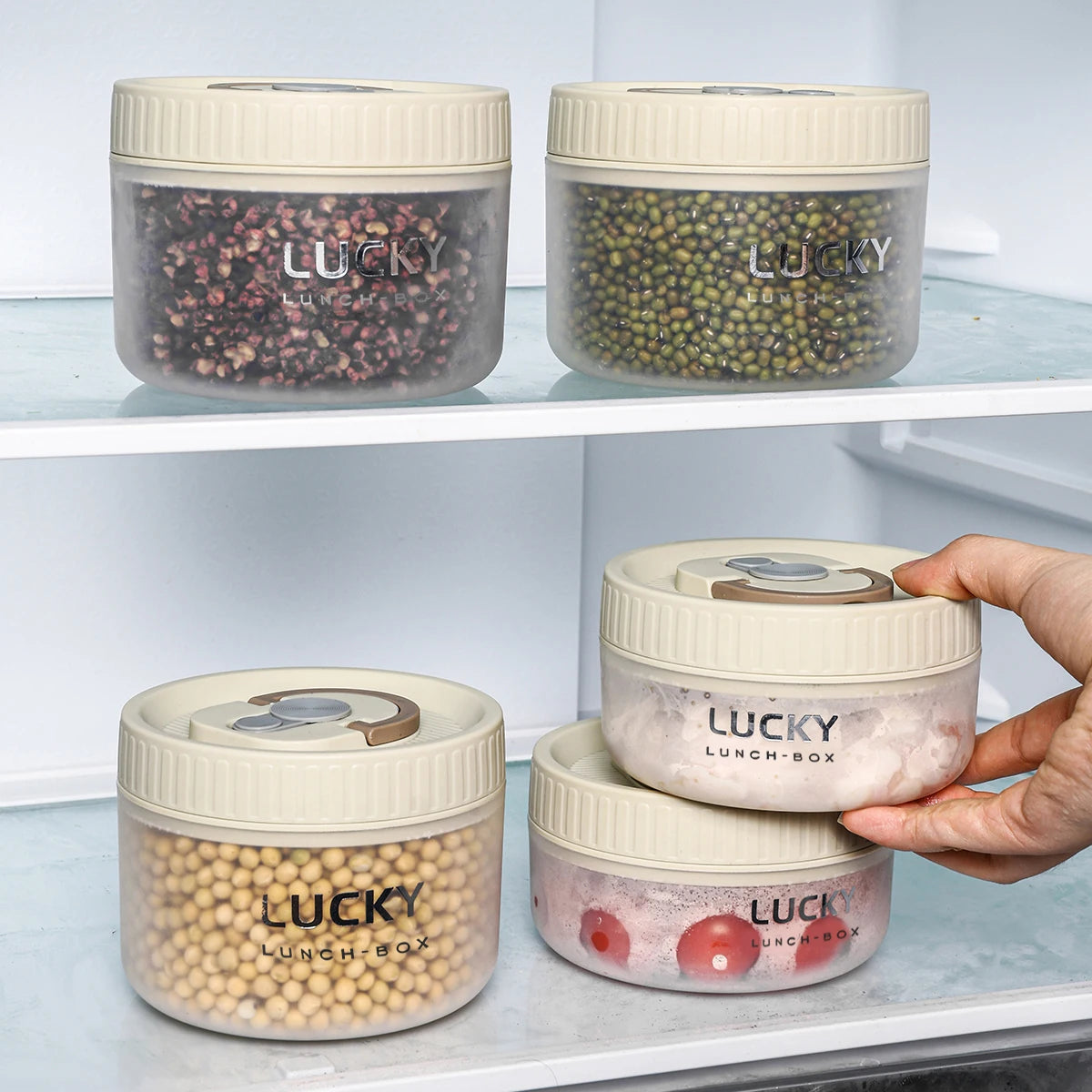 Transparent Lunch Box